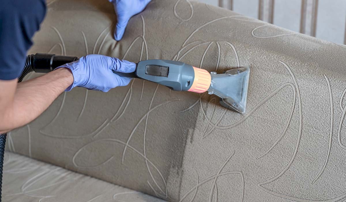 a professional using a steamer to clean couch upholstery